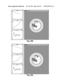 Modeling Wound Healing diagram and image