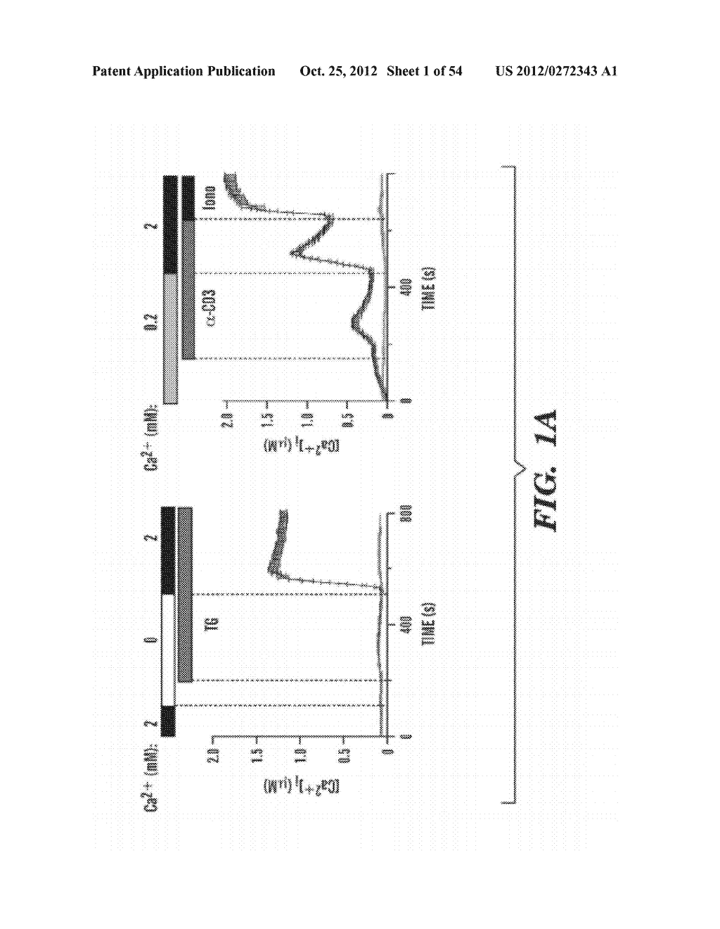 STROMAL INTERACTING MOLECULE KNOCKOUT MOUSE AND USES THEREOF - diagram, schematic, and image 02