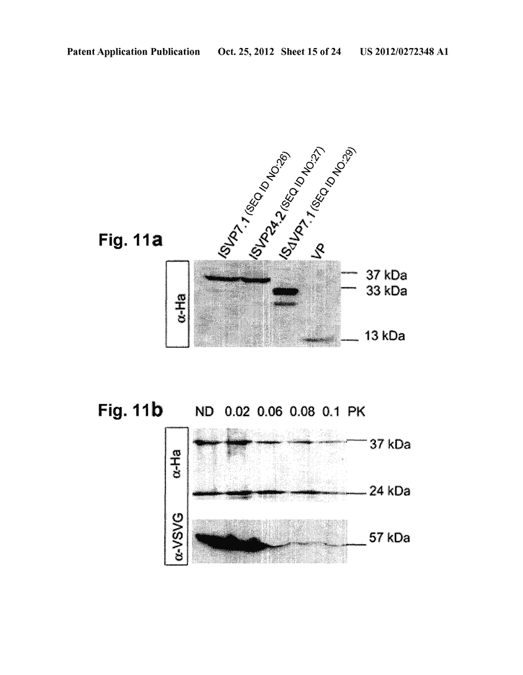 VIRAL VECTORS ENCODING A DNA REPAIR MATRIX AND CONTAINING A     VIRION-ASSOCIATED SITE SPECIFIC MEGANUCLEASE FOR GENE TARGETING - diagram, schematic, and image 16