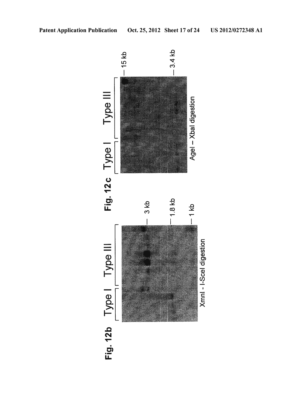 VIRAL VECTORS ENCODING A DNA REPAIR MATRIX AND CONTAINING A     VIRION-ASSOCIATED SITE SPECIFIC MEGANUCLEASE FOR GENE TARGETING - diagram, schematic, and image 18