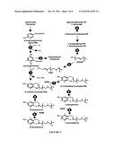 Genes Conferring Drought and Salt Tolerance and Uses Thereof diagram and image