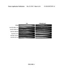 Genes Conferring Drought and Salt Tolerance and Uses Thereof diagram and image