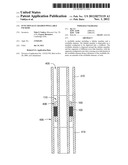 FUNCTIONALLY GRADED SWELLABLE PACKERS diagram and image