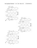 HIGH PERFORMANCE COUPLED COPLANAR WAVEGUIDES WITH SLOW-WAVE FEATURES diagram and image