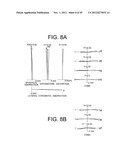 ZOOM LENS SYSTEM, IMAGING APPARATUS, AND METHOD FOR ZOOMING THE ZOOM LENS     SYSTEM diagram and image