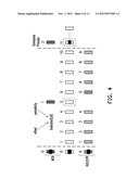 PRIORITIZED RANDOM ACCESS METHOD, RESOURCE ALLOCATION METHOD AND COLLISION     RESOLUTION METHOD diagram and image