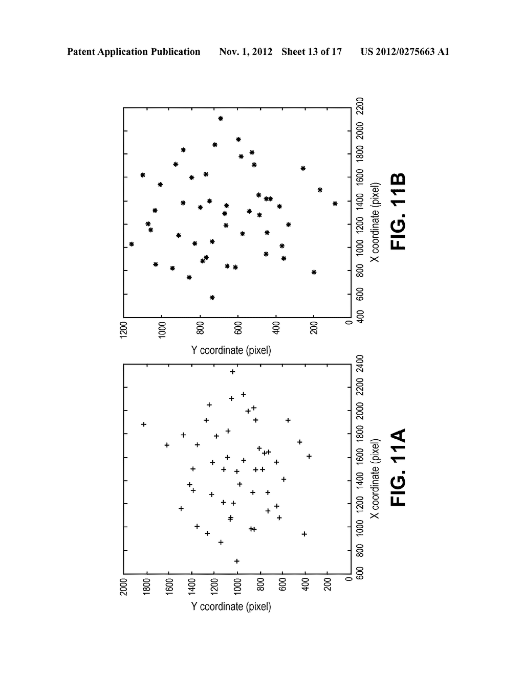 Use of Relatively Permanent Pigmented or Vascular Skin Mark Patterns in     Images for Personal Identification - diagram, schematic, and image 14