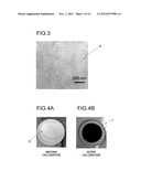 MICROSTRUCTURE AND MANUFACTURING METHOD THEREFOR diagram and image