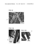 MICROSTRUCTURE AND MANUFACTURING METHOD THEREFOR diagram and image