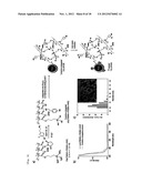 CONTRAST AGENT FOR OPTICAL IMAGING, USE THEREOF AND APPARATUS USING THE     SAME diagram and image