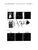 CONTRAST AGENT FOR OPTICAL IMAGING, USE THEREOF AND APPARATUS USING THE     SAME diagram and image