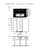 CONTRAST AGENT FOR OPTICAL IMAGING, USE THEREOF AND APPARATUS USING THE     SAME diagram and image