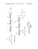 CONJUGATES FOR DUAL IMAGING AND RADIOCHEMOTHERAPY:  COMPOSITION,     MANUFACTURING, AND APPLICATIONS diagram and image