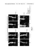 CONJUGATES FOR DUAL IMAGING AND RADIOCHEMOTHERAPY:  COMPOSITION,     MANUFACTURING, AND APPLICATIONS diagram and image