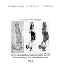 CONJUGATES FOR DUAL IMAGING AND RADIOCHEMOTHERAPY:  COMPOSITION,     MANUFACTURING, AND APPLICATIONS diagram and image