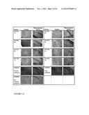 PHARMACEUTICAL COMPOSITION diagram and image