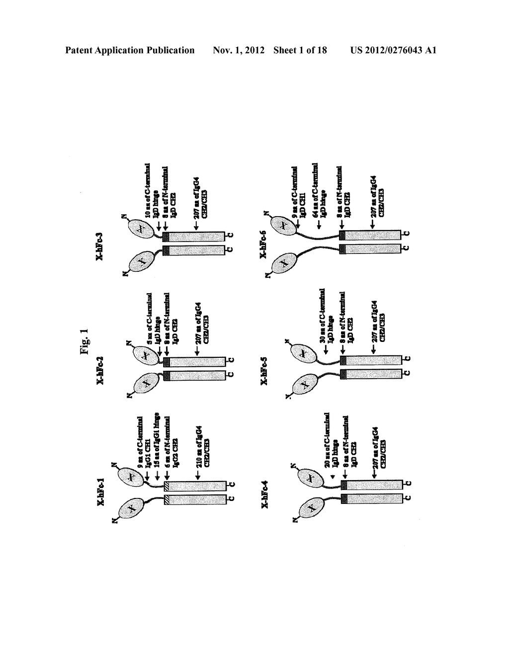 IMMUNOGLOBULIN FUSION PROTEINS - diagram, schematic, and image 02