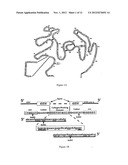 TRANSGENE DELIVERING RETROVIRUS TARGETING COLLAGEN EXPOSED AT SITE OF     TISSUE INJURY diagram and image