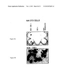 TRANSGENE DELIVERING RETROVIRUS TARGETING COLLAGEN EXPOSED AT SITE OF     TISSUE INJURY diagram and image