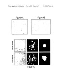 Peptide Linked Cell Matrix Materials for Stem Cells and Methods of Using     the Same diagram and image