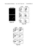 Peptide Linked Cell Matrix Materials for Stem Cells and Methods of Using     the Same diagram and image