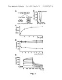 TREATMENT OF NERVE INJURIES diagram and image