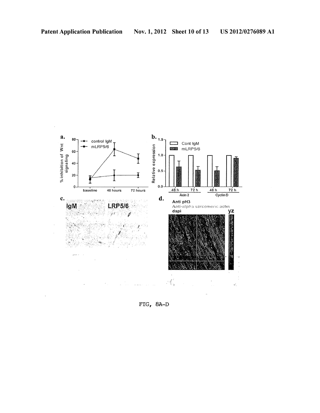 Antibodies That Inhibit WNT Signaling And Methods Of Using The Same - diagram, schematic, and image 11