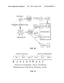 B7-H4 FUSION PROTEINS AND METHODS OF USE THEREOF diagram and image