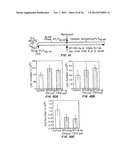 B7-H4 FUSION PROTEINS AND METHODS OF USE THEREOF diagram and image