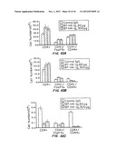 B7-H4 FUSION PROTEINS AND METHODS OF USE THEREOF diagram and image