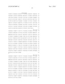 B7-H4 FUSION PROTEINS AND METHODS OF USE THEREOF diagram and image