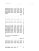 B7-H4 FUSION PROTEINS AND METHODS OF USE THEREOF diagram and image