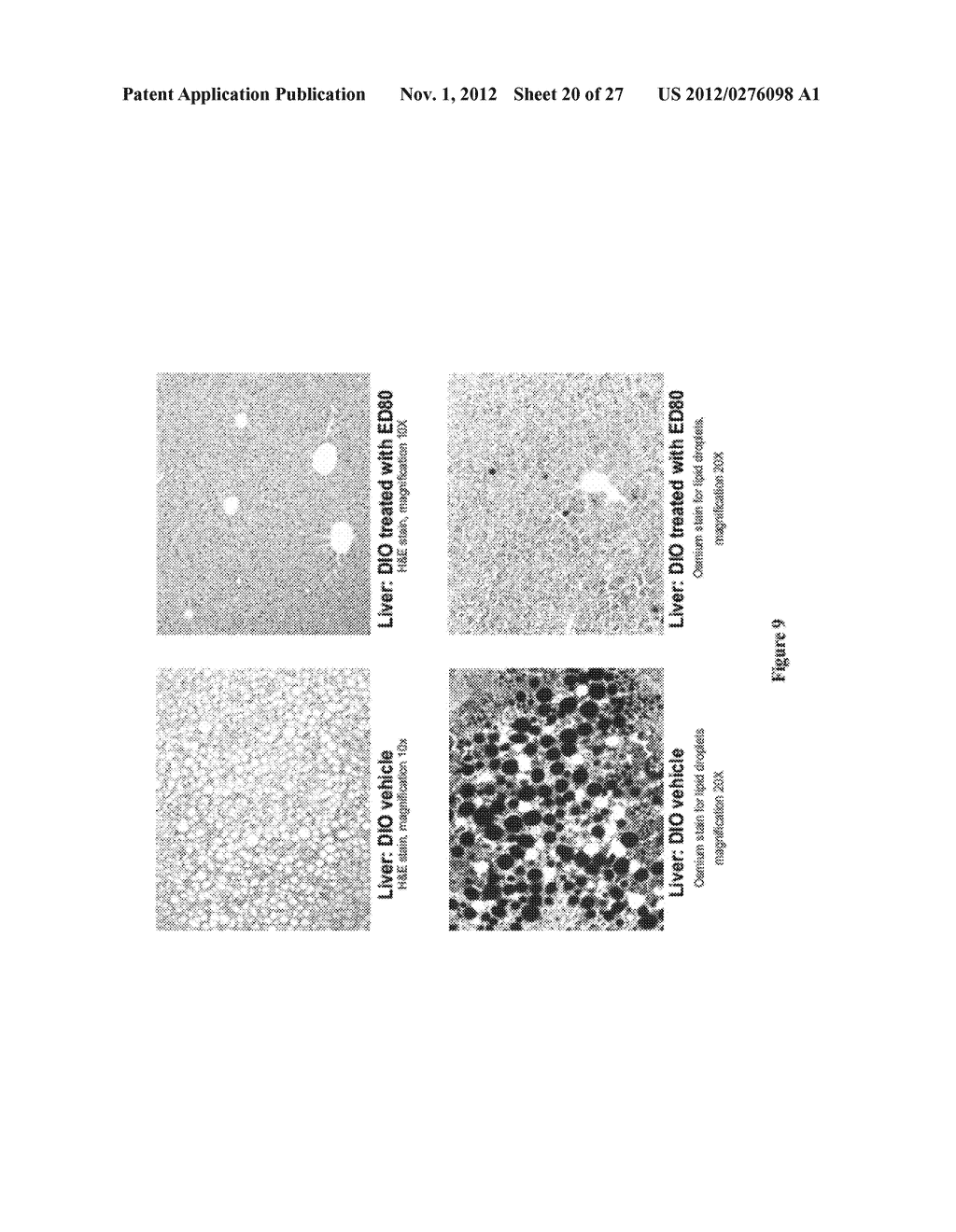 DRUG FUSIONS AND CONJUGATES WITH EXTENDED HALF LIFE - diagram, schematic, and image 21