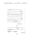 Binding Partners for the Thyrotropin Receptor and Uses Thereof diagram and image