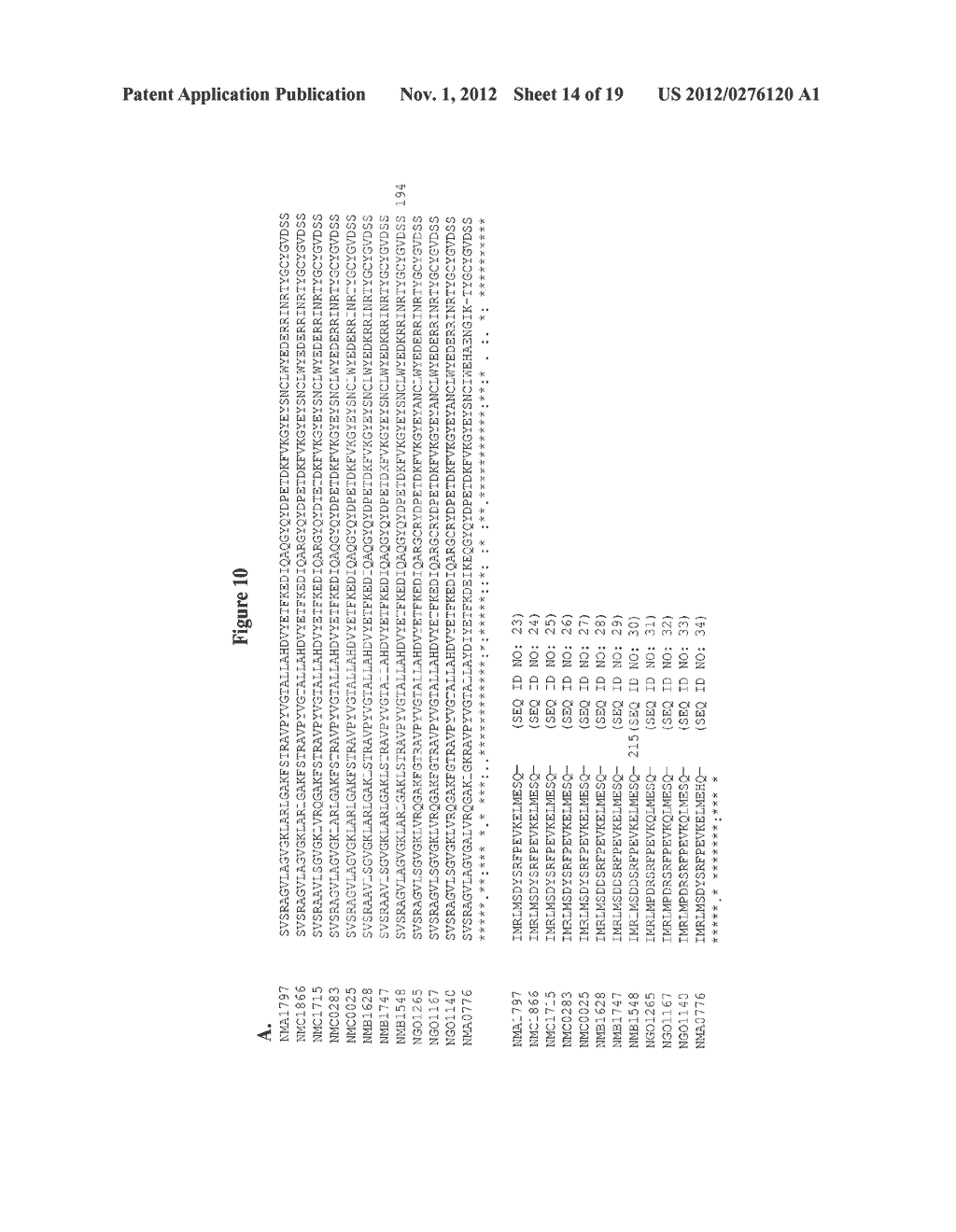 T-Cell Stimulating Protein B and Methods of Use - diagram, schematic, and image 15