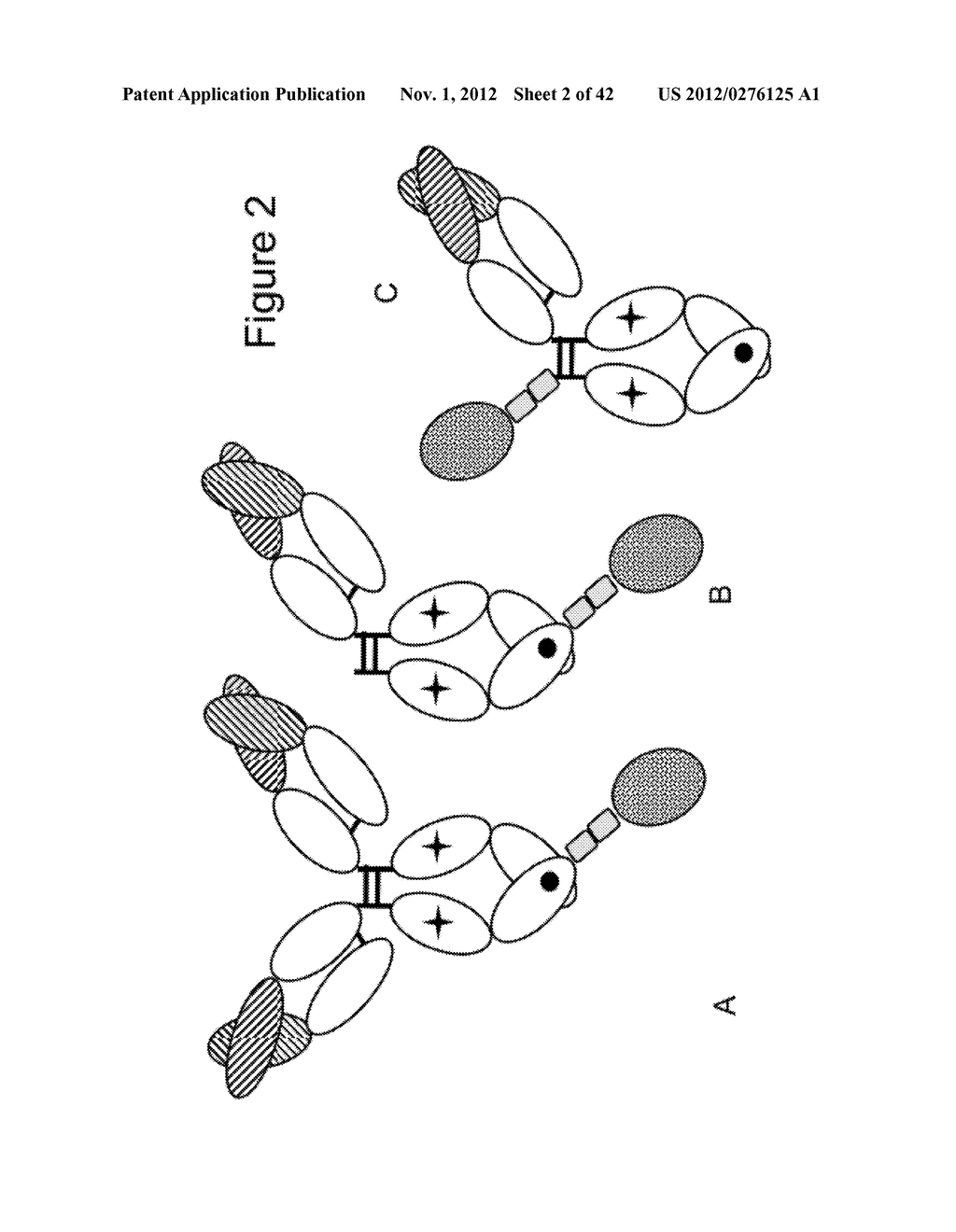 NOVEL IMMUNOCONJUGATES - diagram, schematic, and image 03