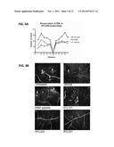 TREATMENT OF RETINAL DISORDERS WITH RECOMBINANT T CELL RECEPTOR LIGAND     (RTL) diagram and image