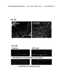 TREATMENT OF RETINAL DISORDERS WITH RECOMBINANT T CELL RECEPTOR LIGAND     (RTL) diagram and image