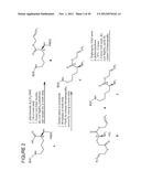 Drug Loaded Polymeric Nanoparticles and Methods of Making and Using Same diagram and image