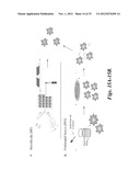 NUCLEIC ACID-CONTAINING LIPID PARTICLES AND RELATED METHODS diagram and image