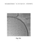 NUCLEIC ACID-CONTAINING LIPID PARTICLES AND RELATED METHODS diagram and image