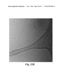 NUCLEIC ACID-CONTAINING LIPID PARTICLES AND RELATED METHODS diagram and image