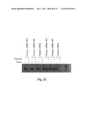 NUCLEIC ACID-CONTAINING LIPID PARTICLES AND RELATED METHODS diagram and image