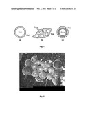 POLYMERIZABLE LACTAMIC COPOLYMERS SUITABLE FOR THE FORMATION OF COATINGS     ON MICROENCAPSULATED PARTICLES diagram and image