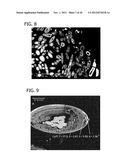 CONTROLLING CALCIUM COMPOUND FORMATION IN BIOCOMPATIBLE MATERIALS FOR     TISSUE REGENERATION AND REPAIR IN MAMMALS diagram and image