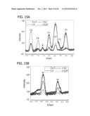 CONTROLLING CALCIUM COMPOUND FORMATION IN BIOCOMPATIBLE MATERIALS FOR     TISSUE REGENERATION AND REPAIR IN MAMMALS diagram and image