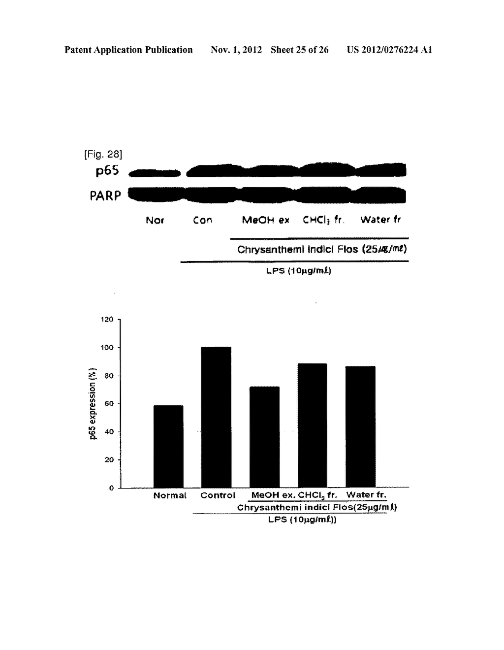 COMPOUND COMPRISING EXTRACTS OR FRACTIONS OF CHRYSANTHEMUM BOREALE MAKINO     HAVING ANTI-INFLAMMATION ACTIVITY - diagram, schematic, and image 26