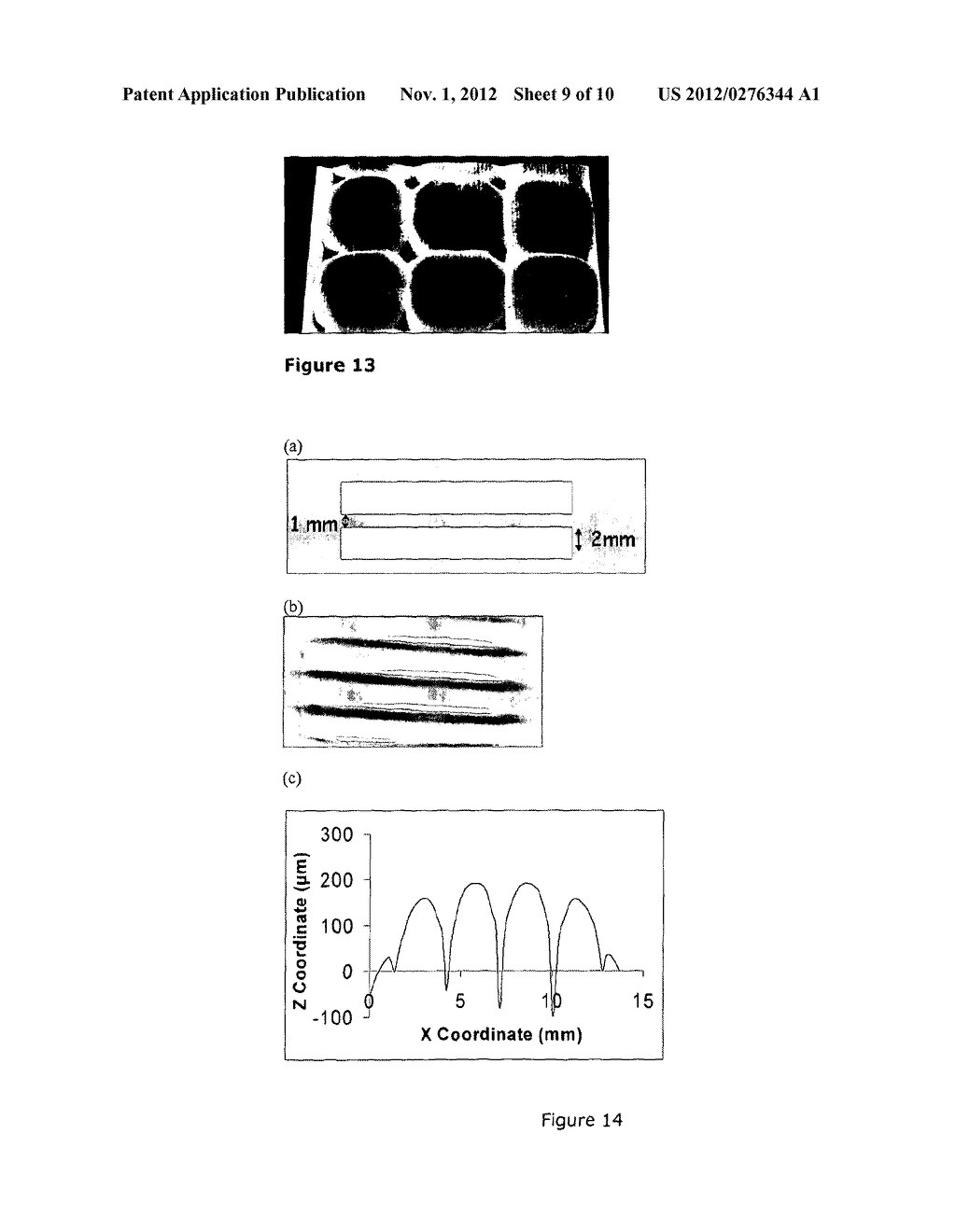 METHOD OF MAKING A PATTERNED DRIED POLYMER AND A PATTERNED DRIED POLYMER - diagram, schematic, and image 10