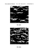 CAST FILMS, MICROPOROUS MEMBRANES, AND METHOD OF PREPARATION THEREOF diagram and image