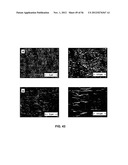 CAST FILMS, MICROPOROUS MEMBRANES, AND METHOD OF PREPARATION THEREOF diagram and image